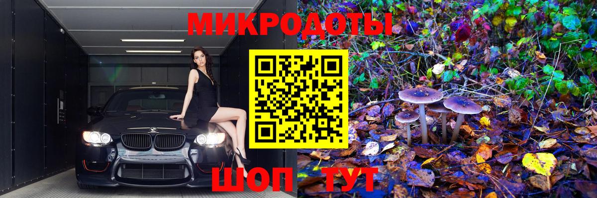 Псилоцибиновые грибы ЛСД Карасук