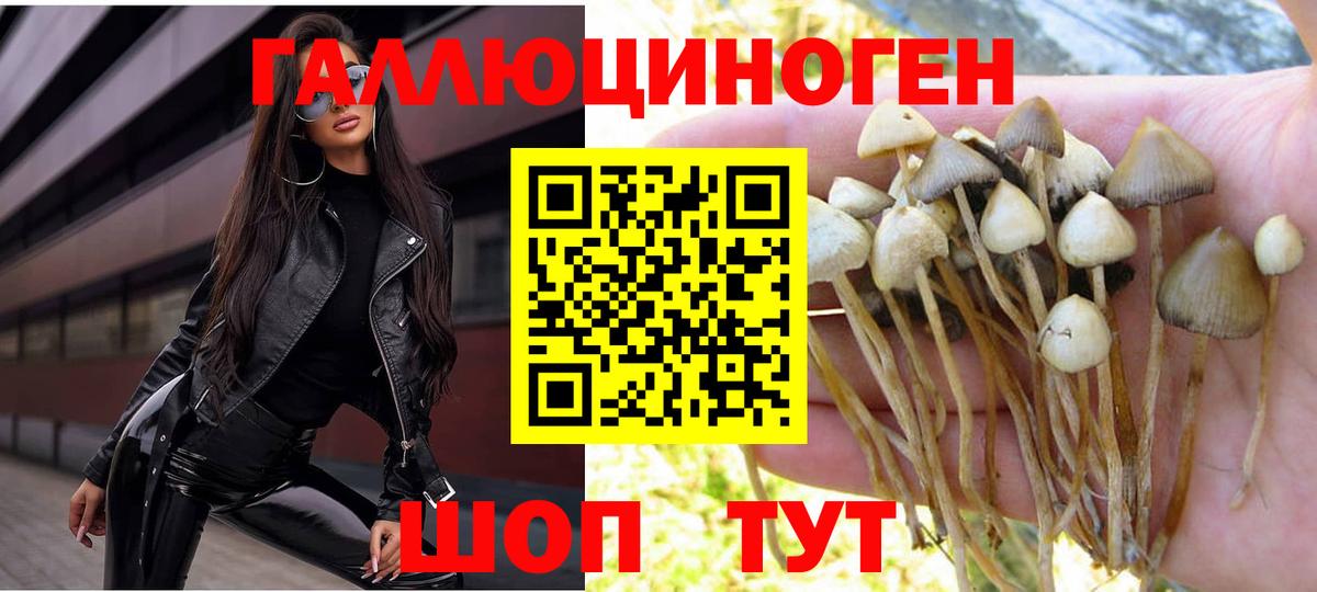 Псилоцибиновые грибы Psilocybine cubensis  Вход с VPN  Карасук 